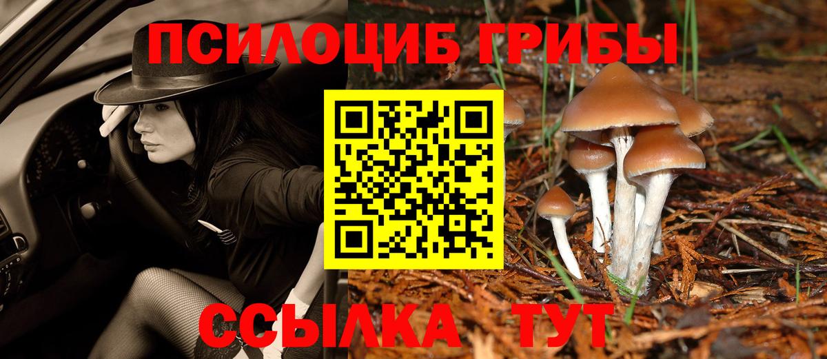 Галлюциногенные грибы прущие грибы Петропавловск-Камчатский