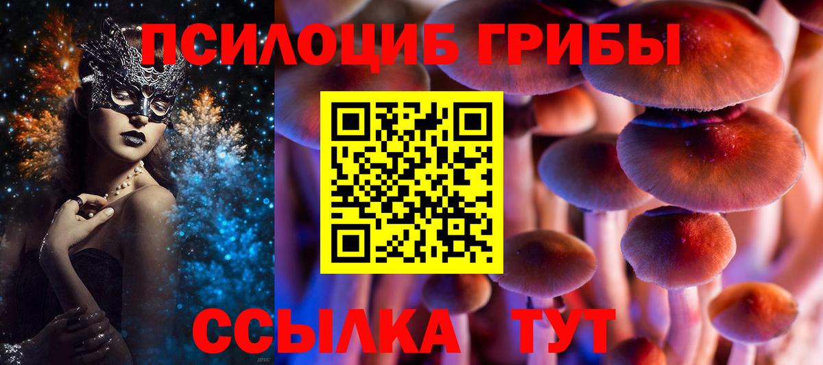 Галлюциногенные грибы GOLDEN TEACHER  Вход с VPN  Петропавловск-Камчатский 